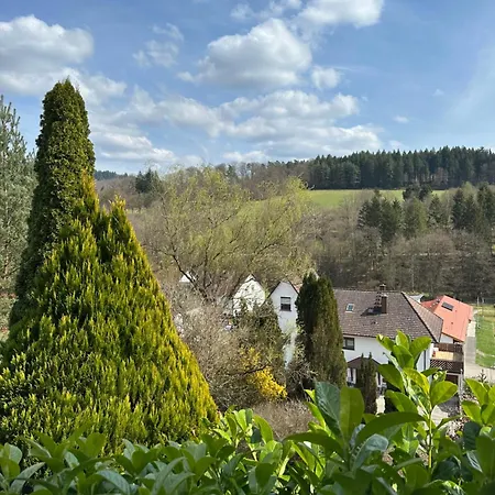Dorfperle Apartment Oberzent
